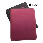 Apple Lüks İpad2 ve Air Kılıfı Tek Gözlü
